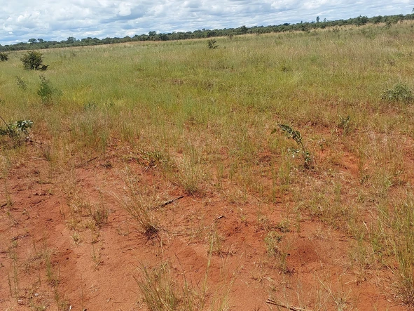 Farm & Agricultural Land