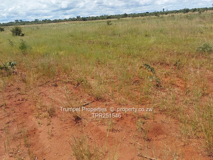 75 Hectare farm , with 3 Dams in Chivhu for Sale