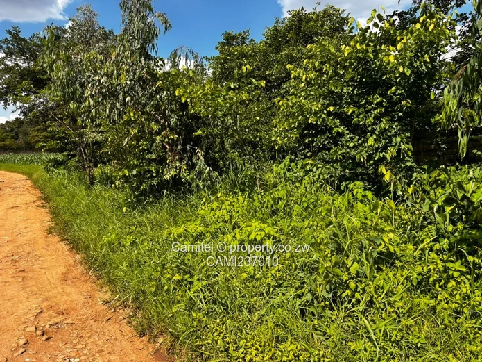 Subdividable 6,705 m² Marlborough deeds available — Walled, Main 