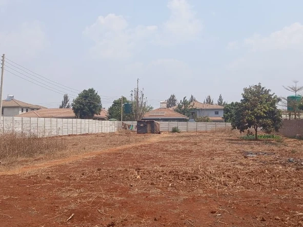 Stands & Residential Land