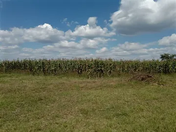 Farm & Agricultural Land