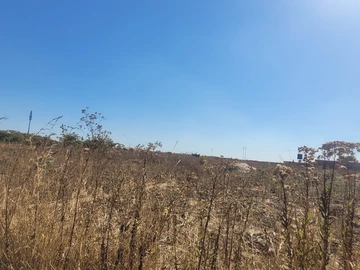 Commercial & Industrial Land