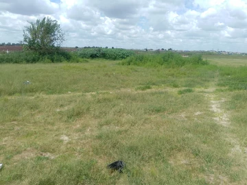 Commercial & Industrial Land