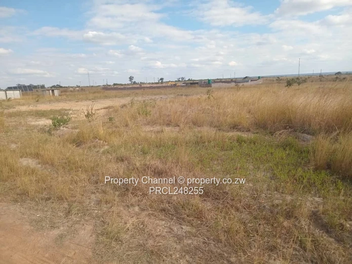 5,000 sqm Level Plot in 8km west of Gweru CBD — Open Grass, Adjacent Walled Property