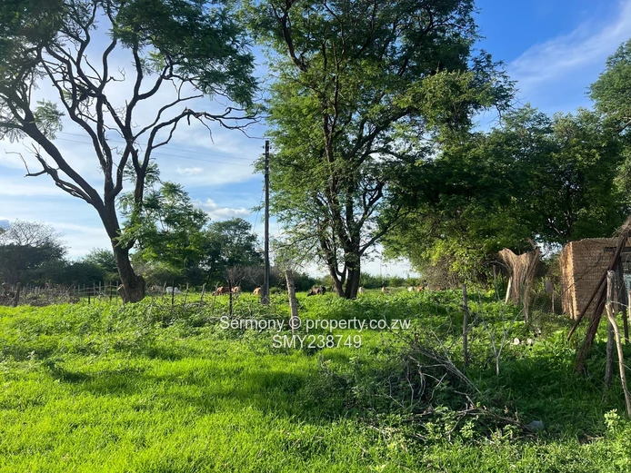 Agricultural Farm For Sale