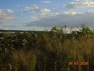 Commercial & Industrial Land