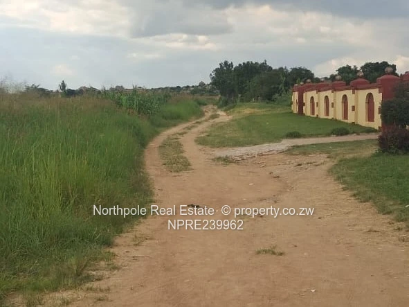 Whitecliff Stand for Sale