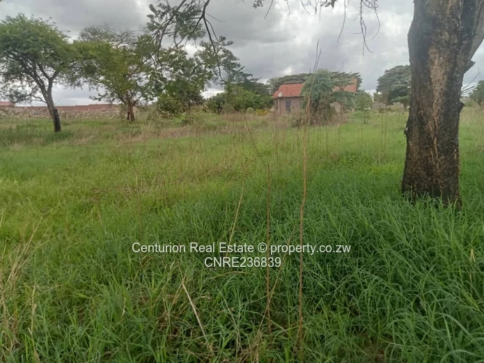 Rydale ridge stand for sale