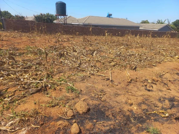 Stands & Residential Land