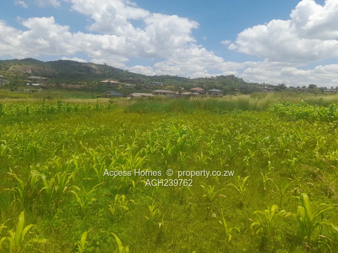 Crowhill Views  (Sole Mandate)