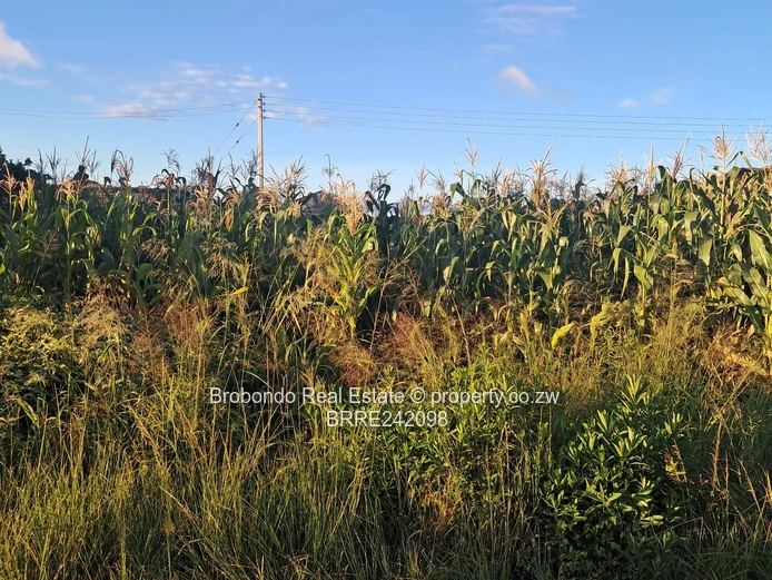 Damofalls Extension Vacant stand for sale