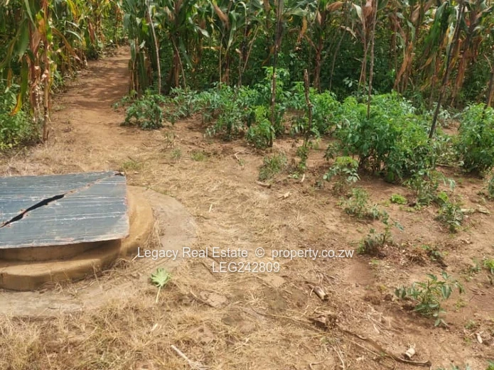 Exclusive Listing: Haydon Park Stand with Well & ZESA On Site