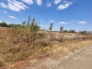 Commercial & Industrial Land