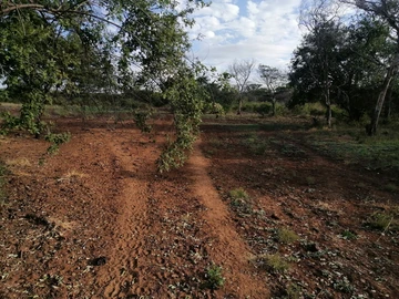 Farm & Agricultural Land