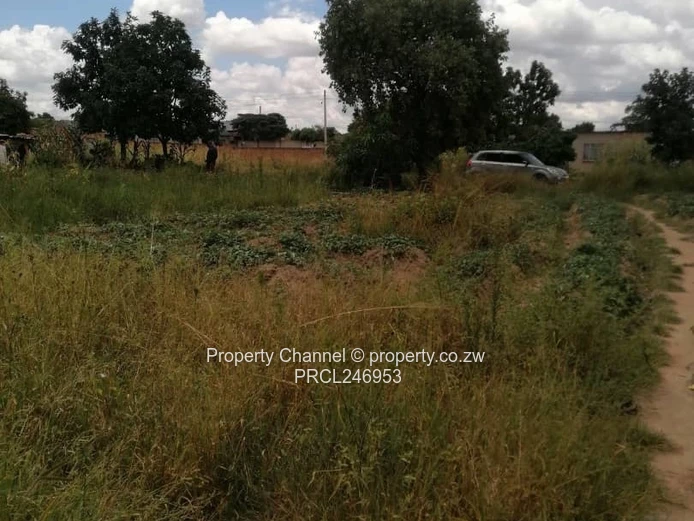 Short-term 3-Bed Cottage in Waterfalls - Large Plot
