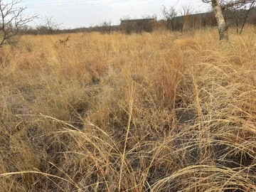 Commercial & Industrial Land