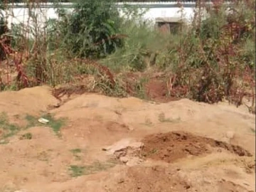 Commercial & Industrial Land