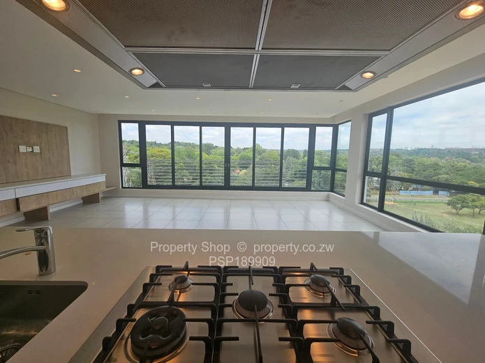 Brand new world class luxurious penthouse in Sandton. 