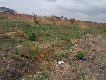 Stands & Residential Land