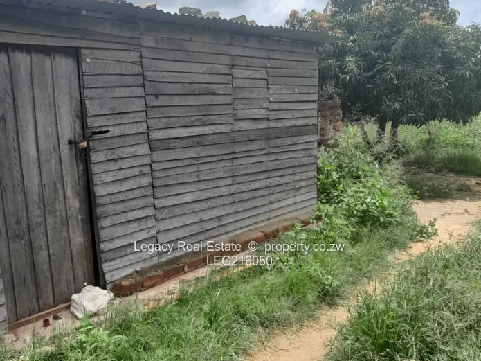 Nyabira Stand for Sale