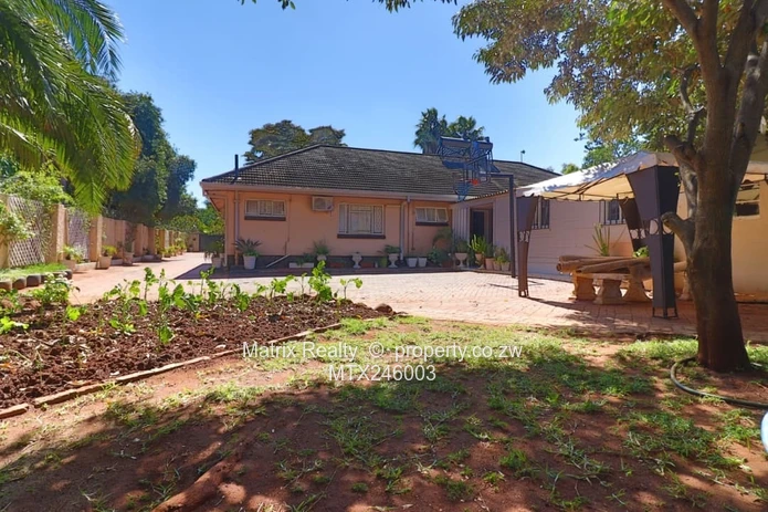 Family Home for Sale in Alexandra Park