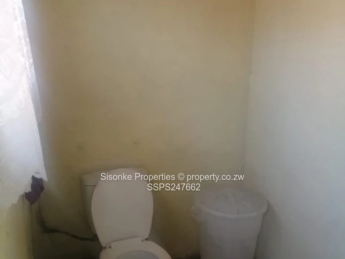 2 roomed cottage for rent in Belvedere 