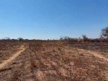 Farm & Agricultural Land