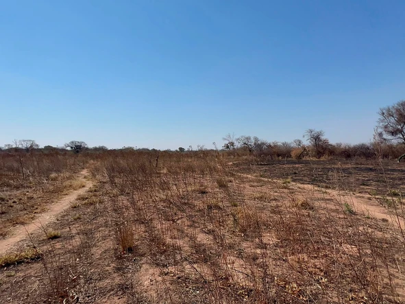 Farm & Agricultural Land