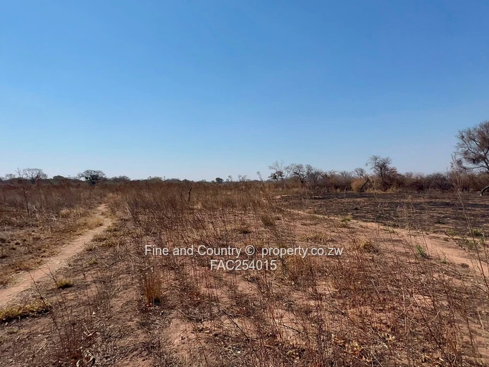 Prime Plot on the Main Road