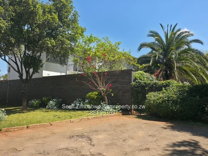 Duplex Apartment for Sale (Sole Mandate)