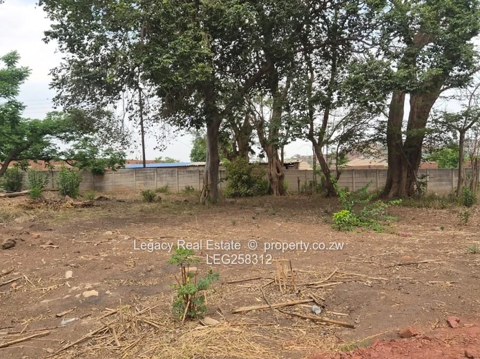 438m² Cold Comfort Stand — Mature Trees & Nearby Development