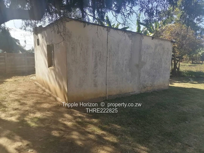 Massive Investment Opportunity 