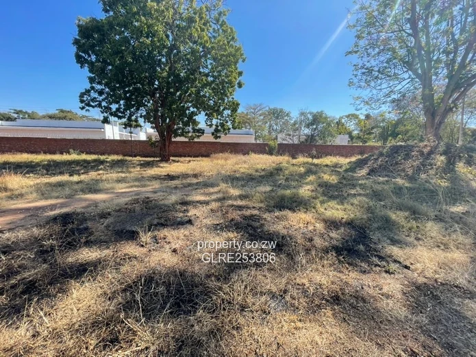 Vacant 8019m² Vainona Stand — Subdividable & Serviced