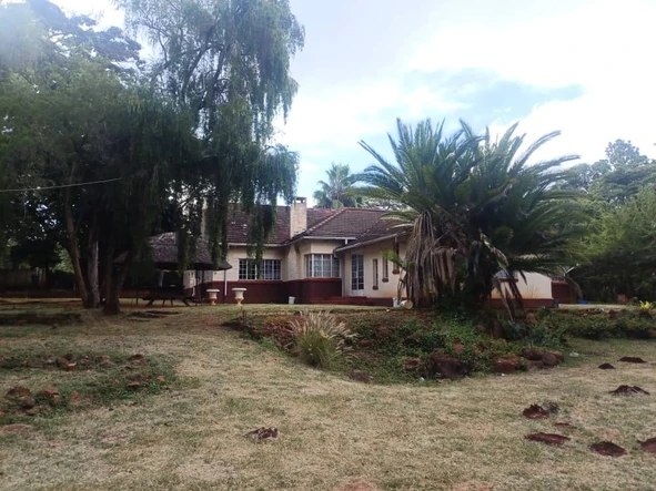 Highland's Finest- 1 hectare (flat land)