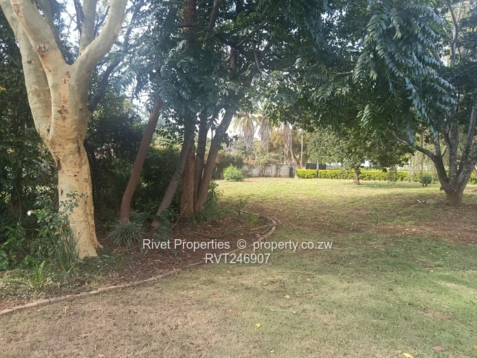Glen Lorne Property For Sale Access To Enterprise Road