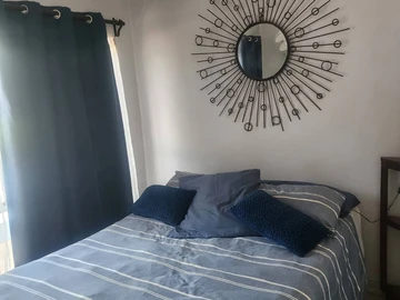Flat & Apartment
