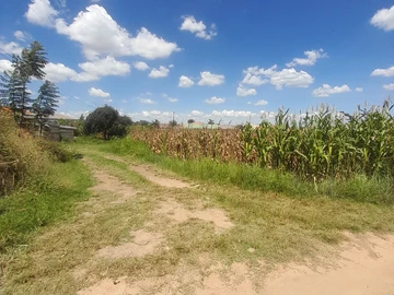 Stands & Residential Land