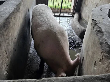 Farm & Agricultural Land