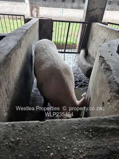 An opportunity not to miss