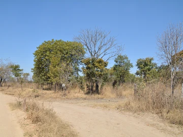 Farm & Agricultural Land
