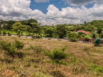 6 Bedroom Townhouse Complex