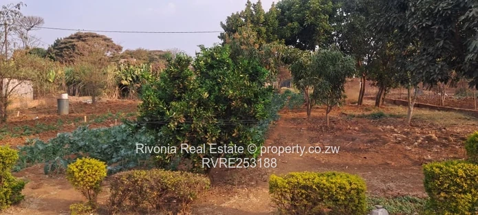 4-Bed Family Home in Nharira — 2440m² with Borehole