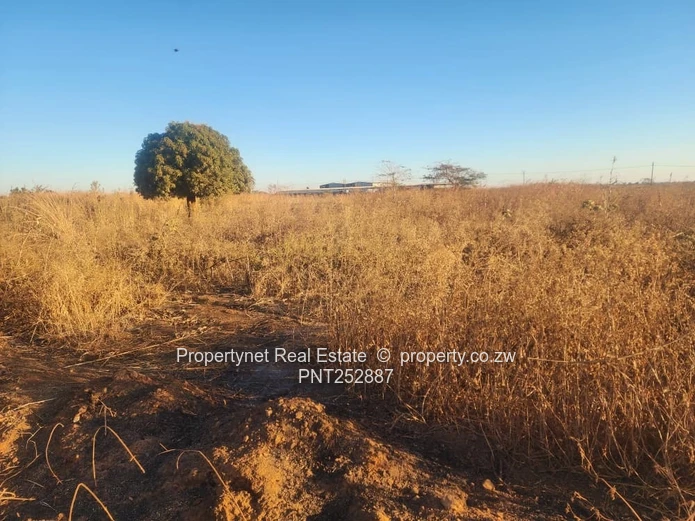 Prime Stand For Sale!!!
