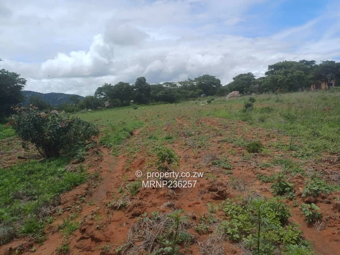 Headlands EagleNest Plot for sale (Sole Mandate)