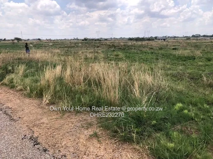 Huntersville Stand For Sale