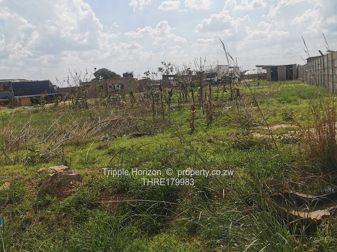 Walled 1,200 m² Commercial Plot — Damofalls Main Rd