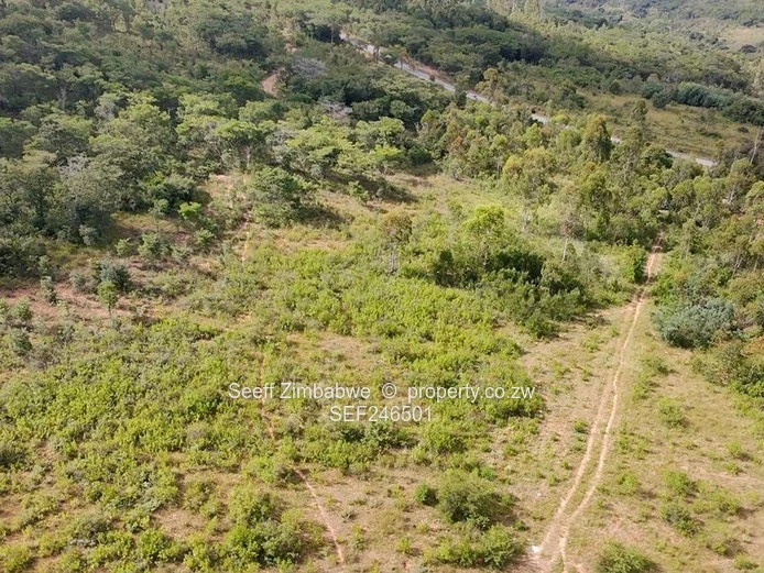 1.7-Hectare Agro-Residential Plot in New Haven