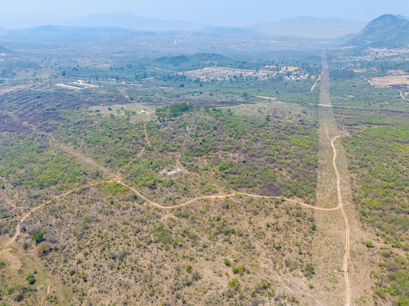 Farm & Agricultural Land