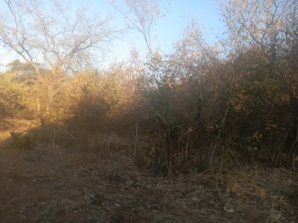 Commercial & Industrial Land