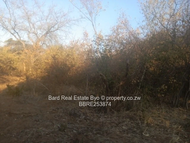 Commercial Stand For Sale – Victoria Falls (Sole Mandate)